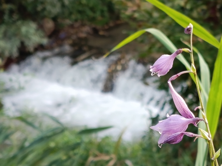 На Ставрополье стартовала Всероссийская акция «Вода России»