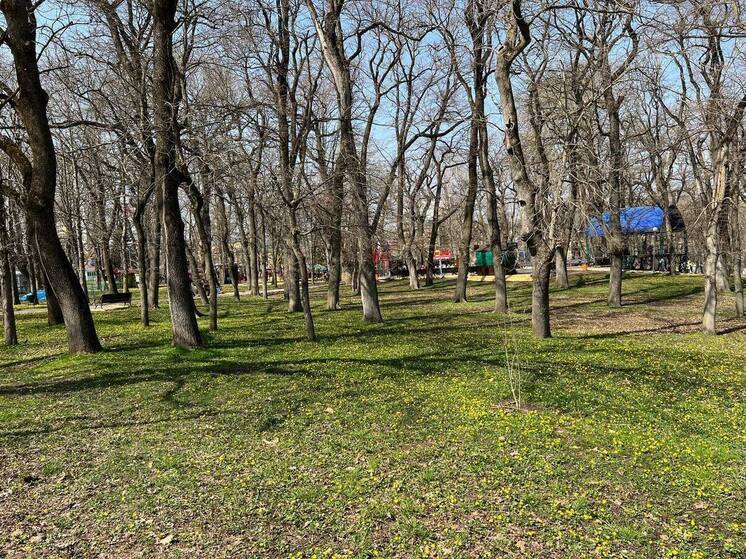 На Ставрополье стартует масштабная неделя субботников