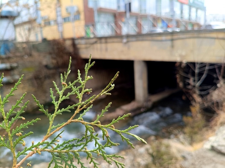 На Ставрополье в I квартале 2026 года самыми высокооплачиваемыми стали бурильщики