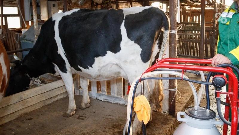 На Ставрополье вырос спрос на агрономов и доярок