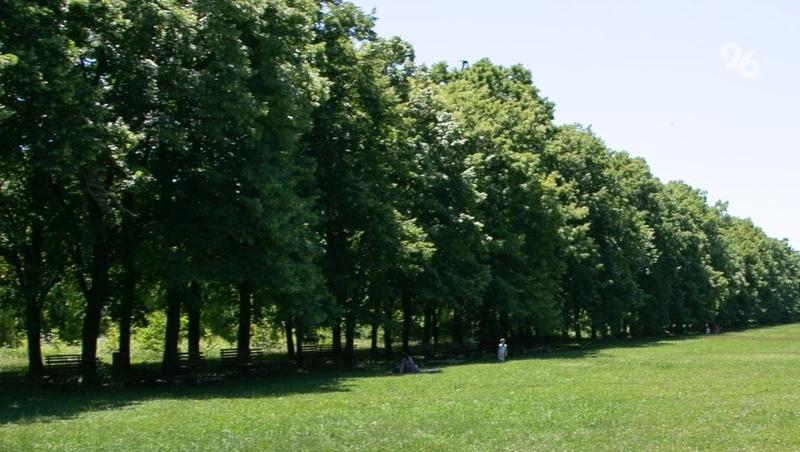 Новую экотропу возле Ставрополя откроют в 2027 году