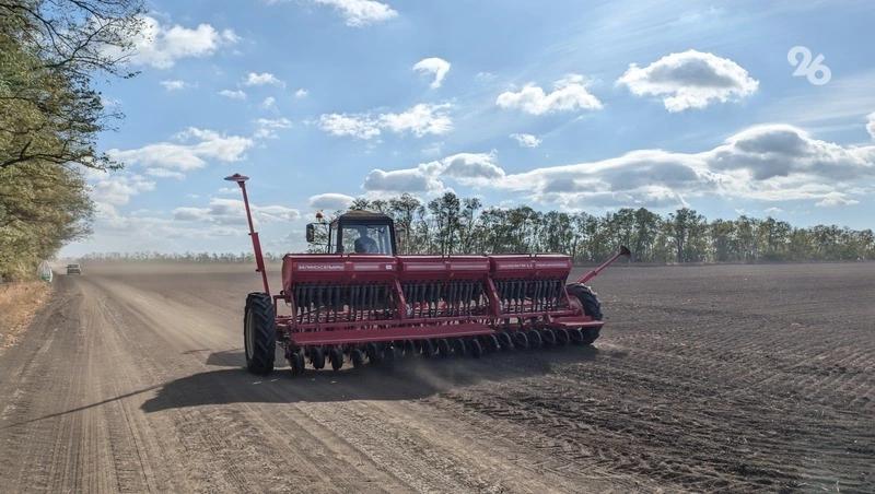 Первую подкормку озимых на Ставрополье завершили 10 округов