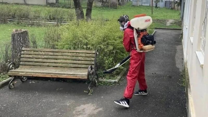 Первый этап обработки от клещей начался на улицах Кисловодска