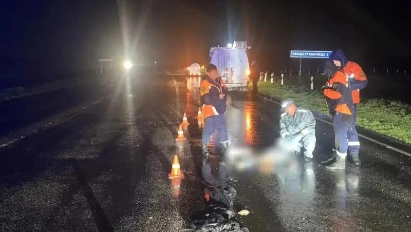 Пешеход погиб под колёсами фуры на ночной трассе Ростов-на-Дону &mdash; Ставрополь