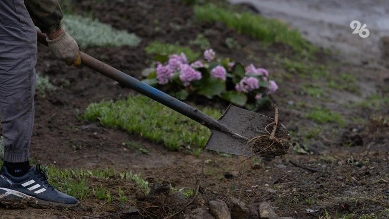 Пятигорчане выберут локацию для благоустройства из трёх проектов