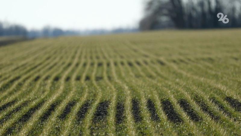 Площади орошаемых земель на&nbsp;Ставрополье увеличатся в&nbsp;2026 году&nbsp;&mdash; минсельхоз края