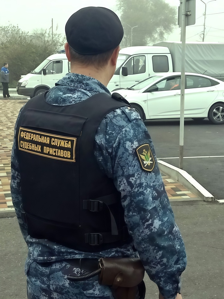 Приставы обязали жителя Минеральных Вод перенести отходы свинофермы