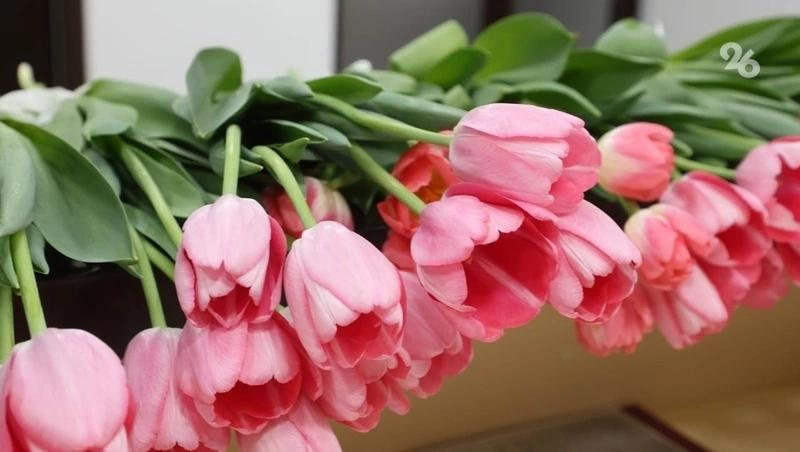 Работодатели в Ставрополе чаще всего в день рождения дарят сотрудникам цветы