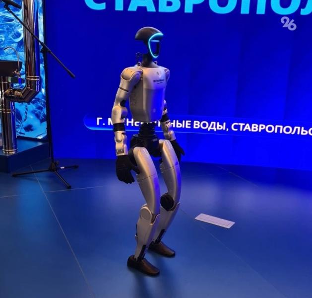 Рейсы из Минвод в Сухум, водовод для КМВ и новые отели: какие проекты реализуют на Ставрополье после КИФ-2026