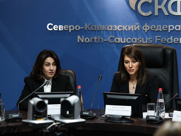 Ректор СКФУ и министр просвещения Абхазии договорились о развитии среднего профессионального образования