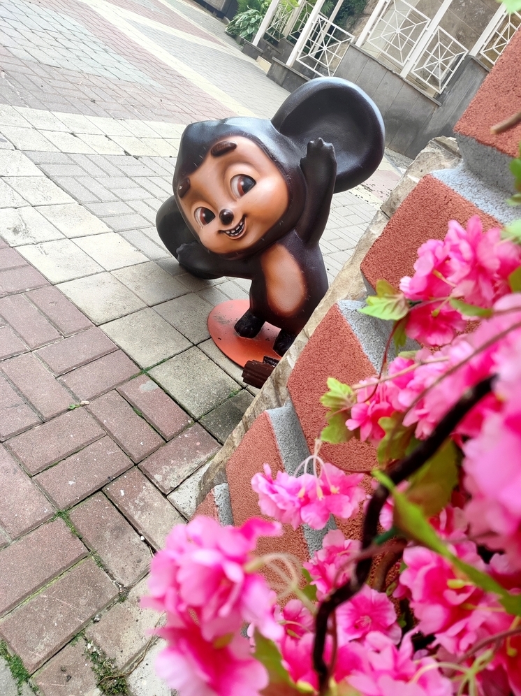 С 1 мая туалеты Национального парка «Кисловодский» впервые станут бесплатными