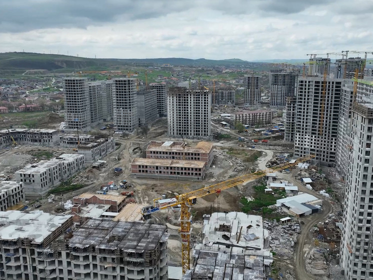 Шесть школ и девять детсадов планируют разместить в Путинском районе Грозного