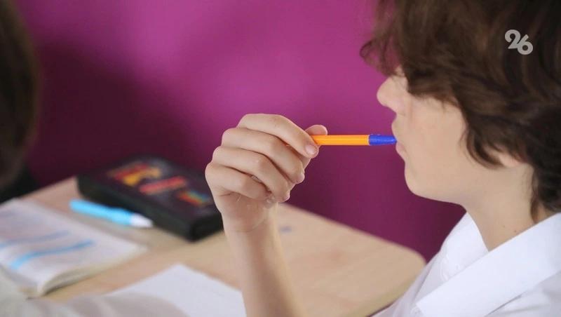 Школьники Ставрополья разработали более 500 инициативных проектов