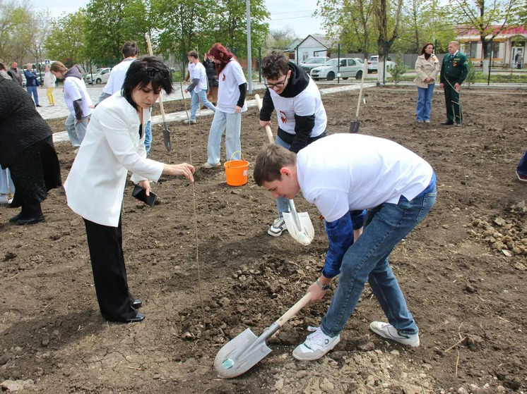 Сквер Памяти высадили в Георгиевске в рамках акции «Сад памяти»