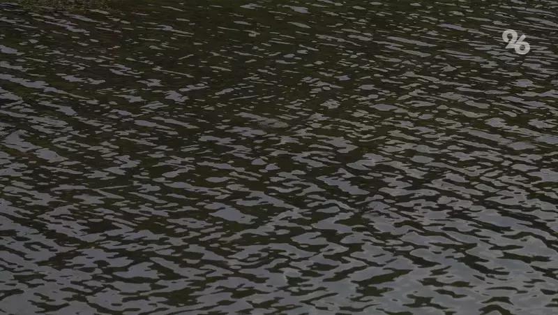 Спасителю утопающей девочки в Махачкале вручат премию в 1 млн рублей &mdash; RT