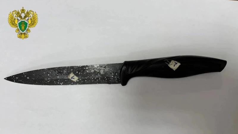 Ставропольчанку, ударившую соперницу ножом в живот, осудили на 2,5 года