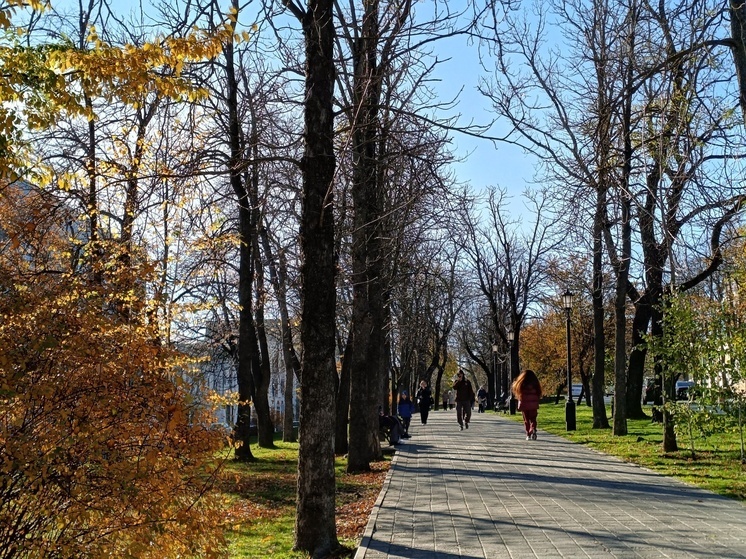 Ставропольцы разместили более 1000 объявлений в помощь Дагестану