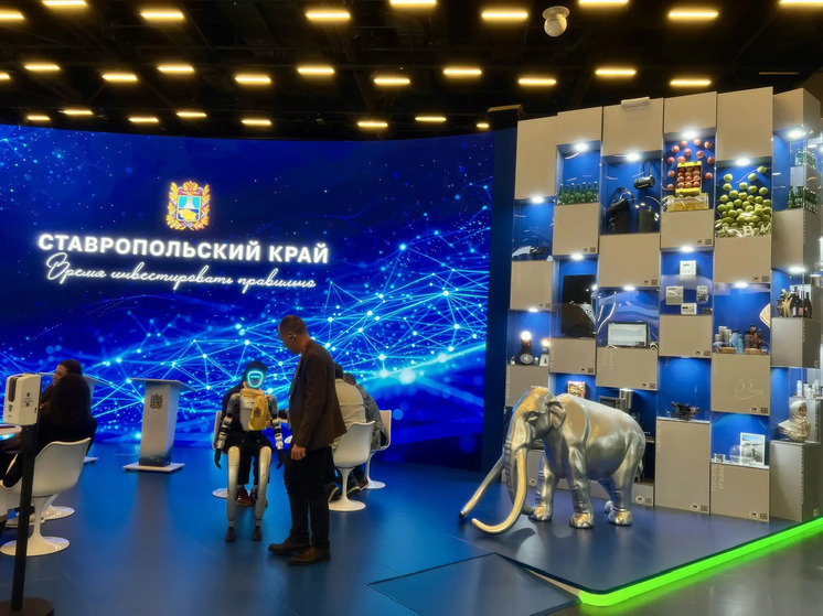 Ставрополье подписало на КИФ-2026 соглашения на 126 млрд рублей: будет создано более 4,2 тыс. рабочих мест