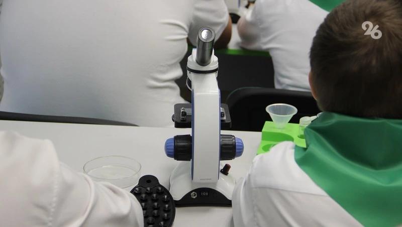 Свыше 280 специализированных классов открыты в школах Ставрополья &mdash; губернатор