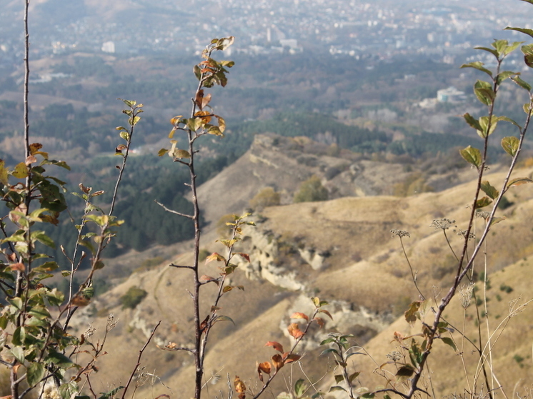 Три удара за вечер: землетрясения в Кабардино-Балкарии и Ингушетии