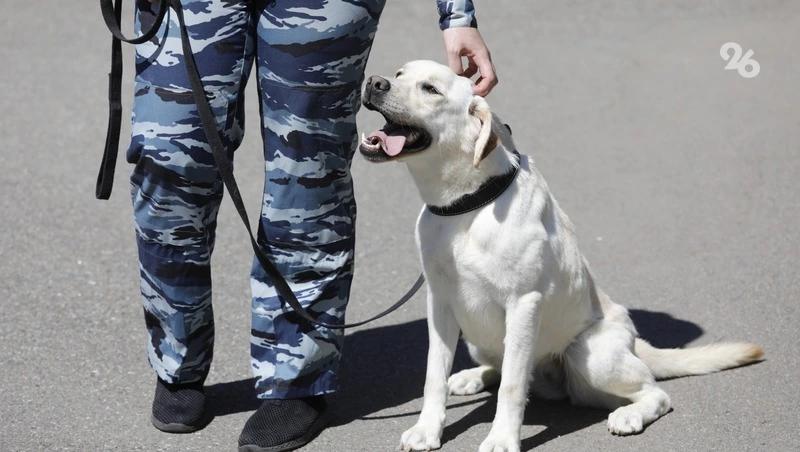 Угрозы о минировании объектов в Минводах 28 апреля оказались ложными