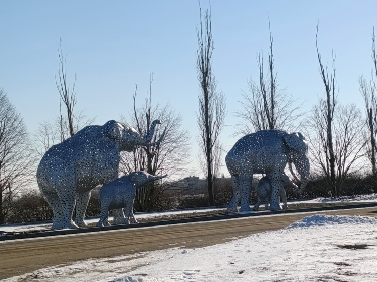 Уроки с выходом в город - в Ставрополе экскурсии ТИЦ включат в школьные программы