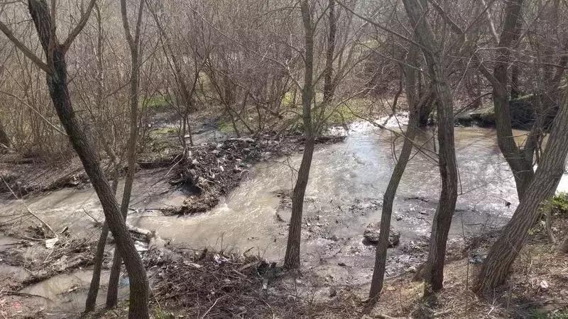 Устье реки Бугунты очистили от мусора в Ессентуках