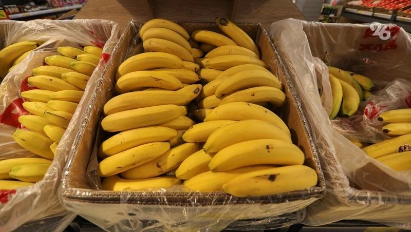 В 2026 году в Невинномысске высадят 80 тыс. саженцев бананов