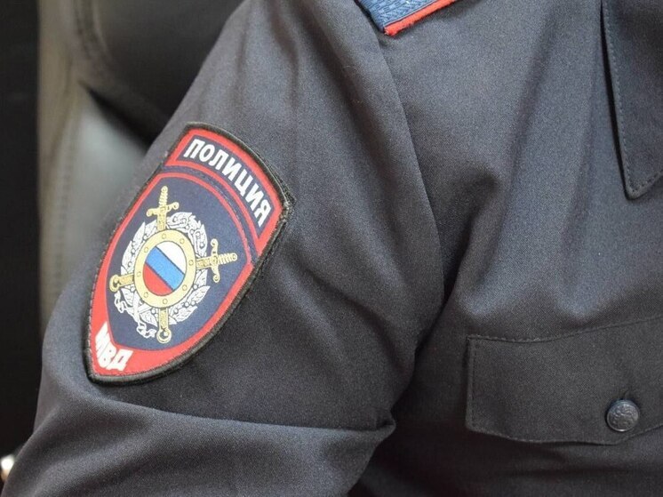 В Георгиевске мужчина на глазах у приятелей похитил сумку у знакомой