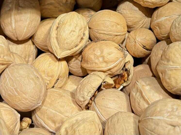 В Ингушетии построят завод по глубокой переработке грецкого ореха