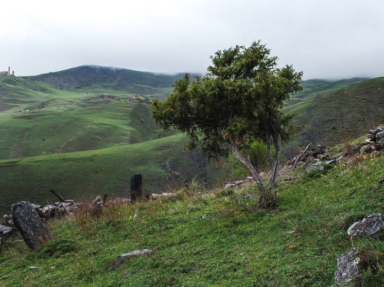 В Ингушетии воссоздают средневековый женский наряд из найденных в склепе фрагментов