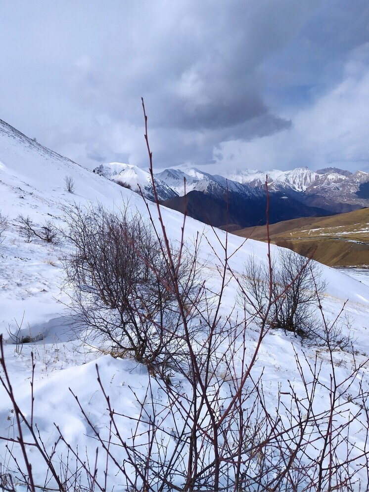 В Итум-Калинском районе Чечни выпал аномальный снег