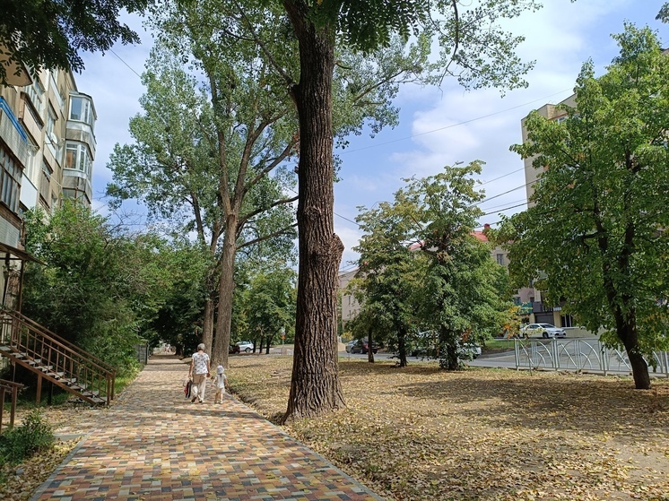 В Карачаево-Черкесии 18 объектов вынесено на народное голосование в 2026 году