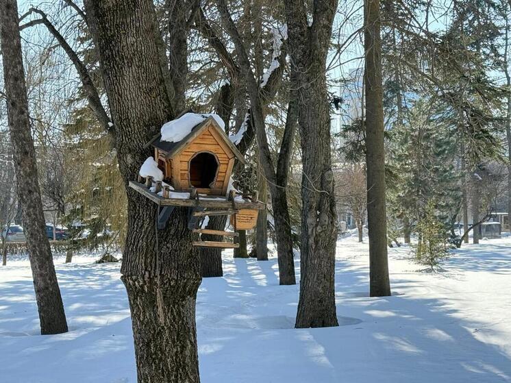 В Кисловодске выбрали лучшие дома для пернатых