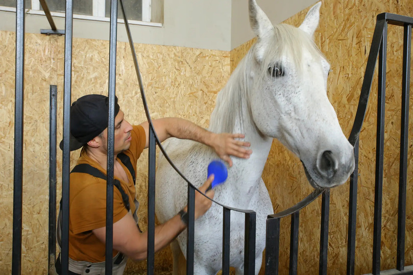 В Кисловодском цирке станцевали лезгинку на манеже и сделали педикюр слонихам  Ставрополь (Кавказ)2