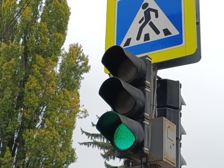 В Комсомольском парке Пятигорска прошла акция «Двигайся по правилам»