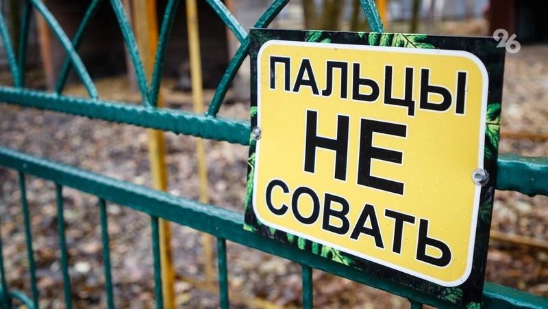 В Москву доставили брошенную в Северной Осетии маленькую медведицу