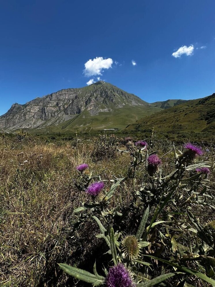 В Нальчике терренкур «1000 ступеней» украсил мурал