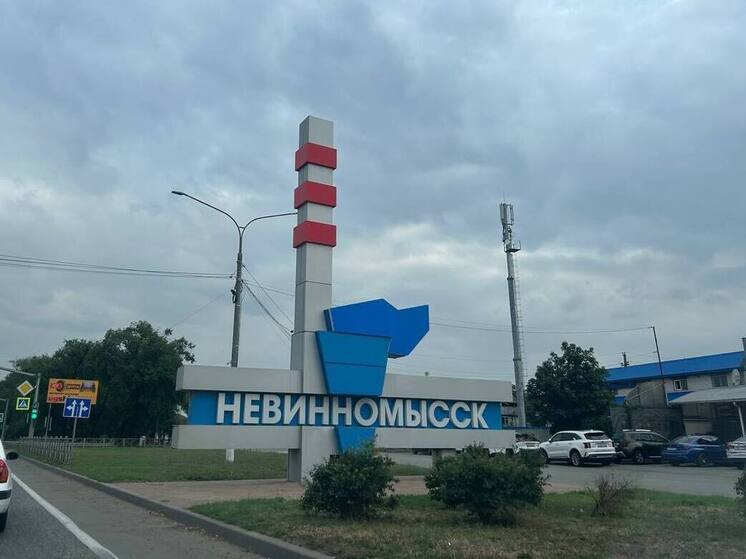 В Невинномысске возбуждено уголовное дело после нападения бездомных собак на ребёнка