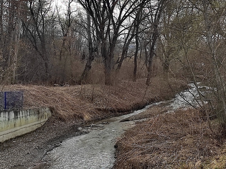 В Осетии цех по переработке рыбы сбрасывал отходы в реку