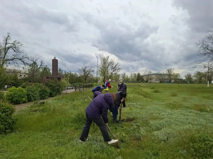 В селе Садовом на Ставрополье высадили Сад памяти