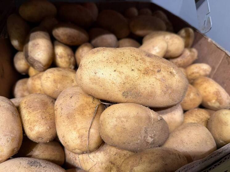 В Ставрополе открыт пункт сбора гуманитарной помощи для пострадавших в Дагестане