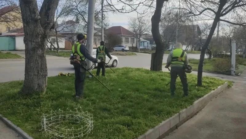 В Ставрополе скосили более 690 тыс. кв. метров травы