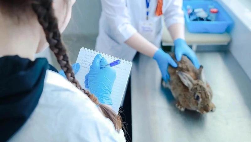 В Ставрополе состоялся финал Всероссийской студенческой олимпиады по ветеринарии