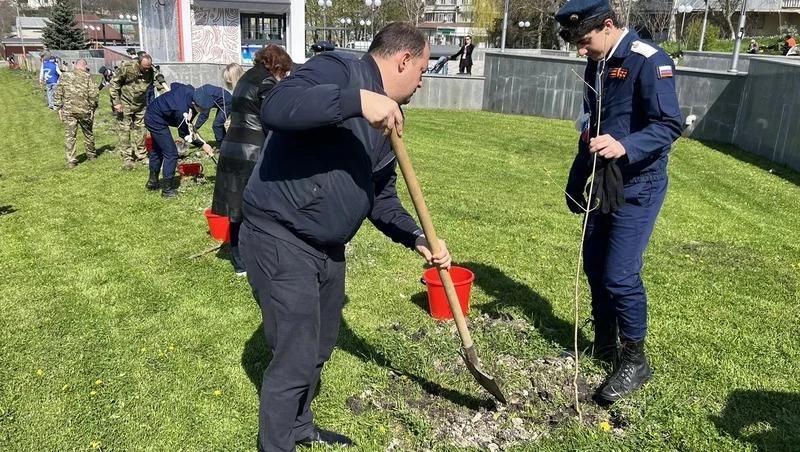 В Железноводске высадили клёны во время акции &laquo;Сад Памяти&raquo;