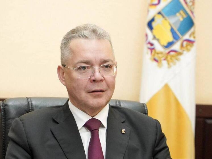 Владимир Владимиров поддержал создание на Ставрополье краевой лиги единоборств