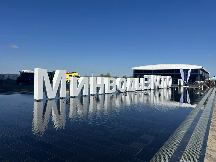 Владимир Владимиров попросил Мишустина помочь с расчисткой Эшкаконского водохранилища на КМВ