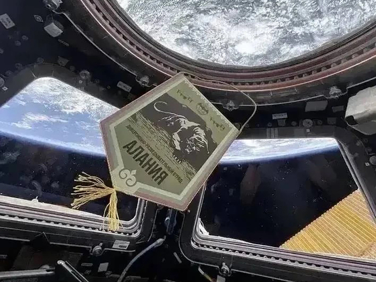 Вымпелы «Добровольческого корпуса» и отряда «Алания» побывали в космосе