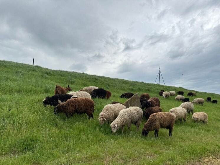 За первый квартал года объем сельхозпроизводства в КБР вырос на 3,8%
