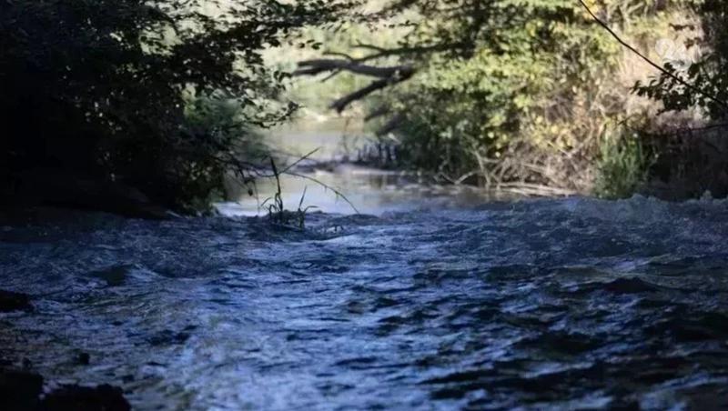 Глава минприроды Ставрополья заявил о возможном подъёме уровня воды в Калаусе